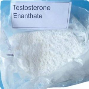 Testosterone Enanthate — 315-37-7 