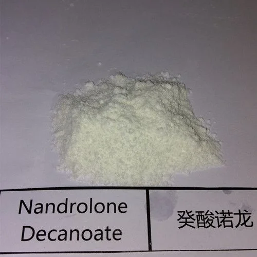 Nandrolone Decanoate — 360-70-3